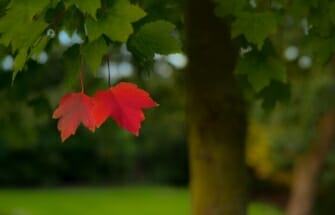 Aiatööd septembrikuus